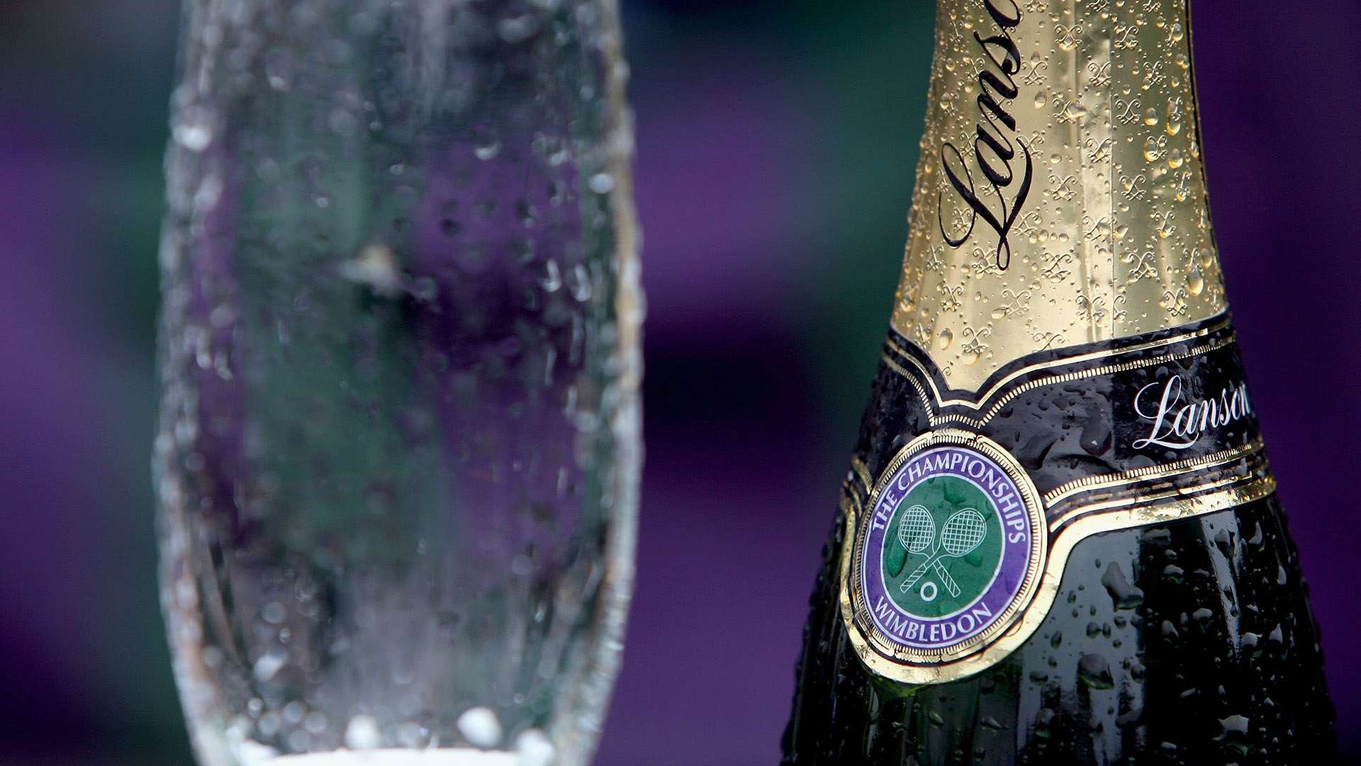 共同见证女 共同见证女